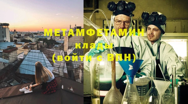 прущие грибы Медногорск