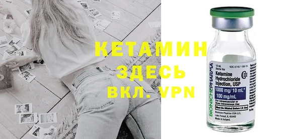 прущие грибы Медногорск