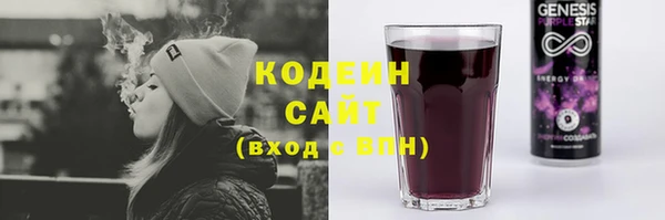 прущие грибы Медногорск