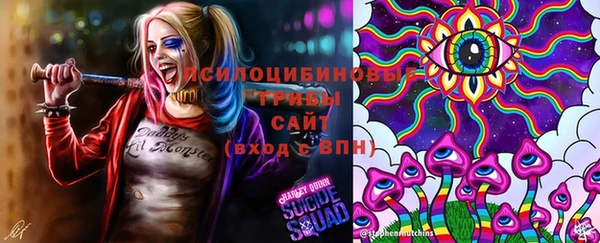 марки nbome Медвежьегорск