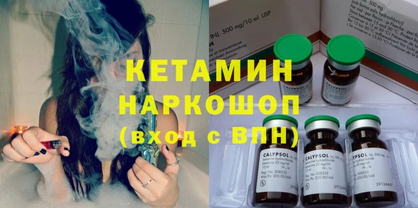 прущие грибы Медногорск