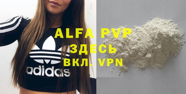 дживик Алагир