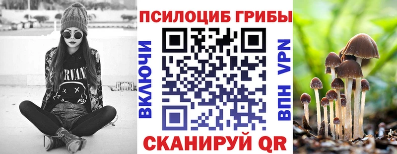 Галлюциногенные грибы MAGIC MUSHROOMS  Звенигород 