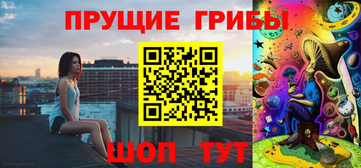 Псилоцибиновые грибы Psilocybe  Галлюциногенные грибы Magic Shrooms  Звенигород 