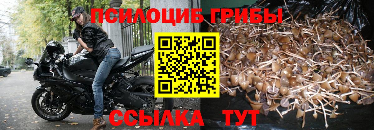 Галлюциногенные грибы Magic Shrooms  хочу   Звенигород  Галлюциногенные грибы мухоморы  Вход с VPN 