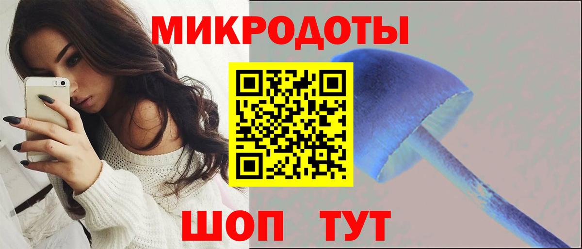 Псилоцибиновые грибы ЛСД Звенигород